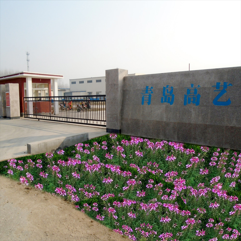 中国 Qingdao High Art Glass Co., Ltd. 会社概要