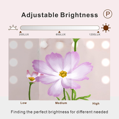 ハリウッド ミラー の 進歩 し た 技術 を 用い て 虚栄心 を 変え て ください